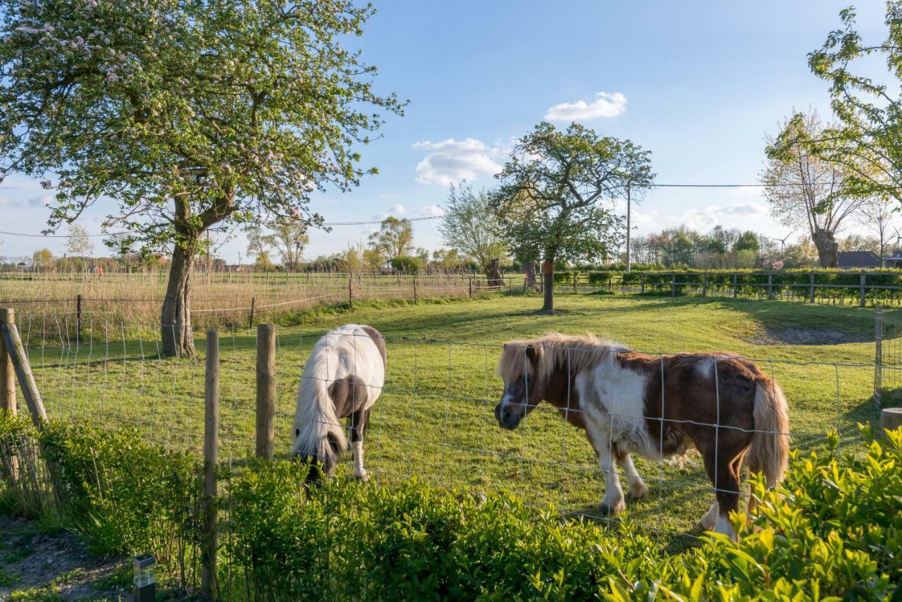 Hoeve De Zuidhoek Μπριζ Εξωτερικό φωτογραφία