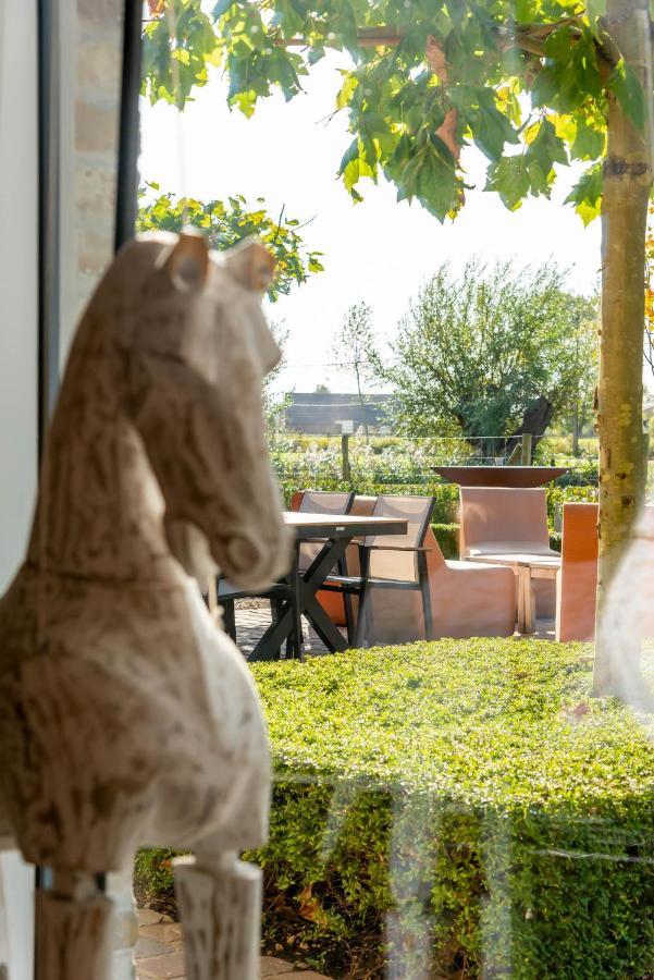 Hoeve De Zuidhoek Μπριζ Εξωτερικό φωτογραφία